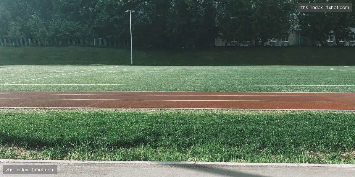 实时赛事数据支持 优化市场策略